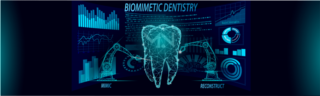 Photo Biomimetic Dentistry